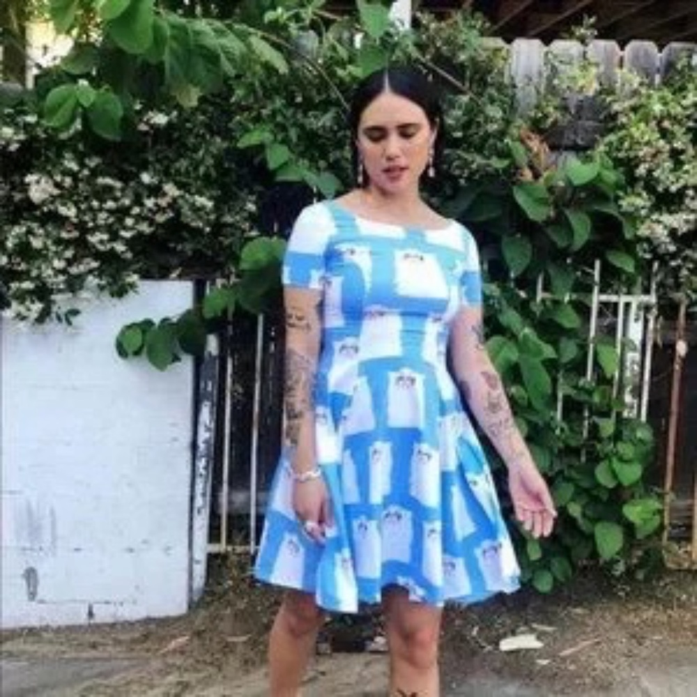 NWT Nooworks Grumpy Cat Cha Cha Dress size S